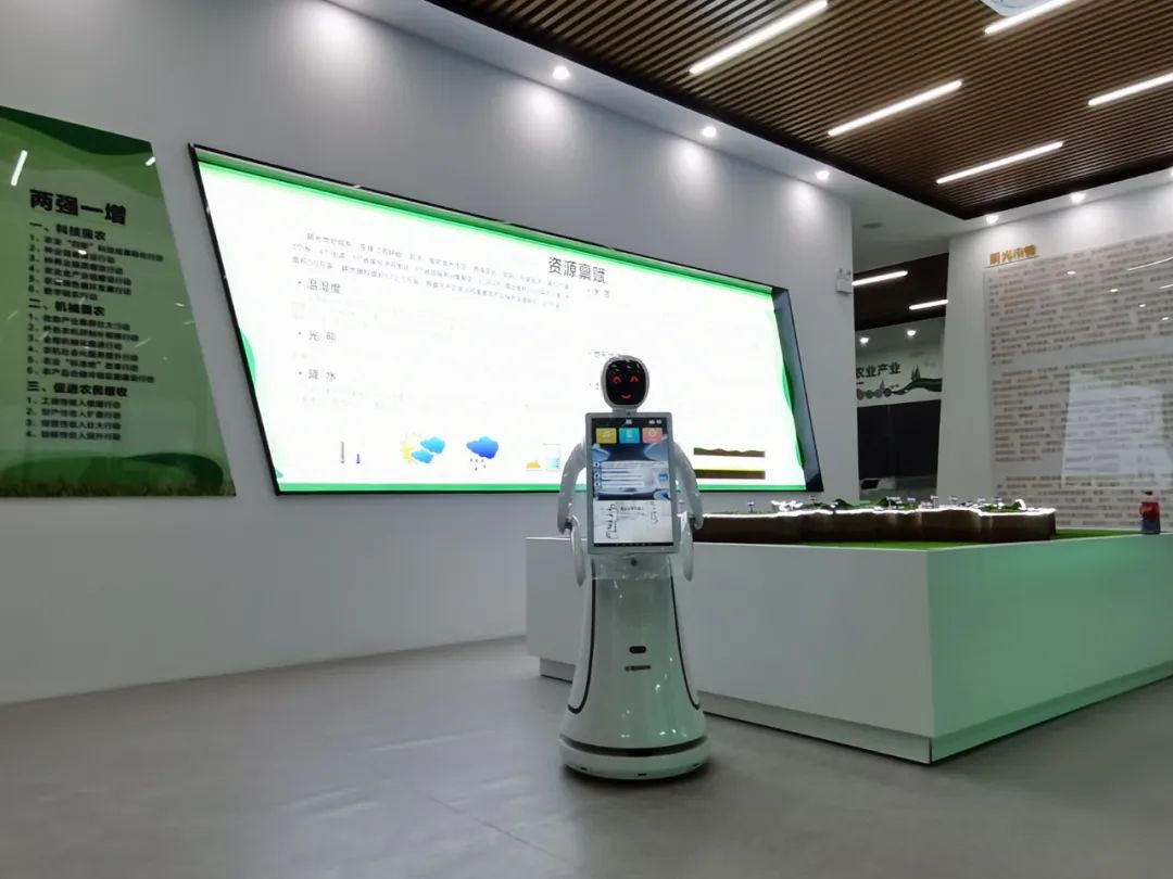 1677046617685900.jpg 6.jpg