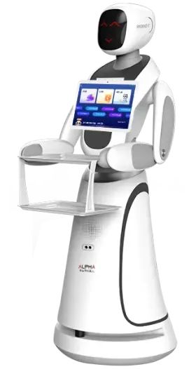 1697008898161428.jpg 004.jpg