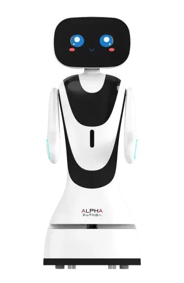 1697009035637145.jpg 007.jpg