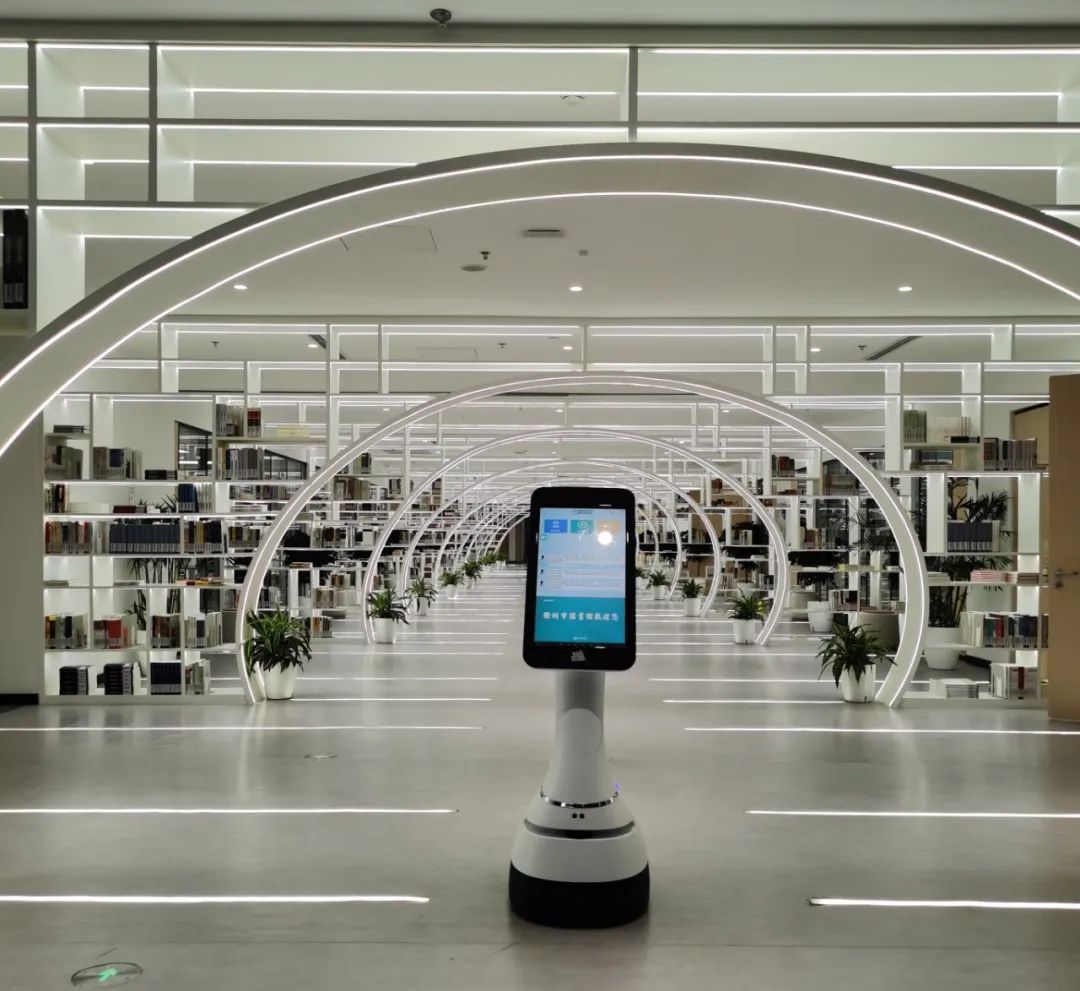 1697523826696697.jpg 881.jpg