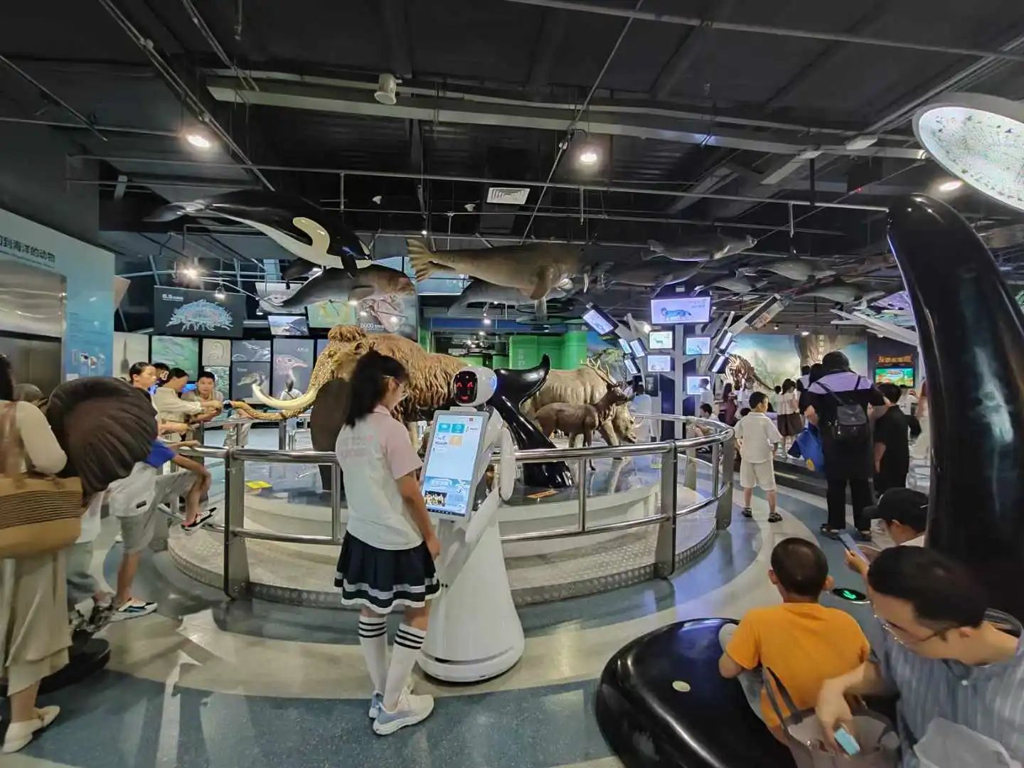 1721971832263350.jpg 微信图片_20240726132252.jpg