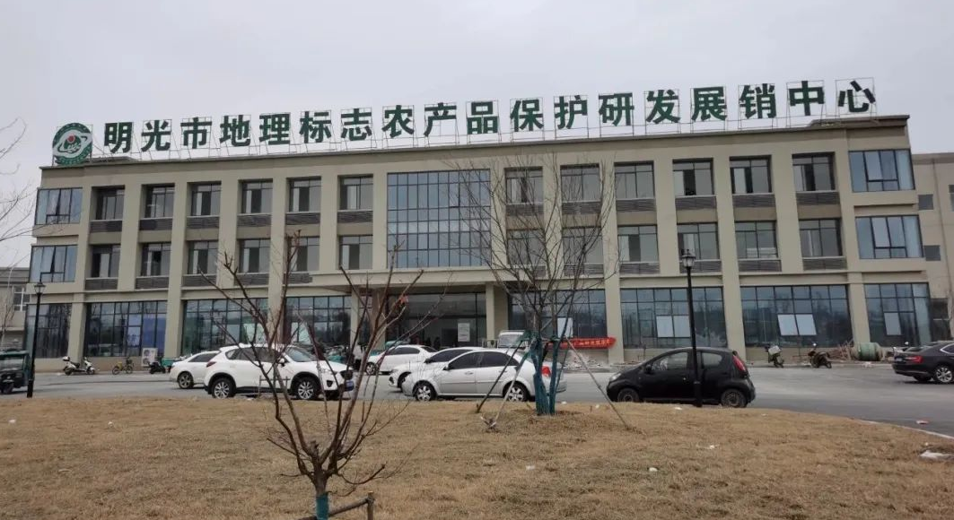 穿山甲Amy机器人 助力 乡村农产品展销